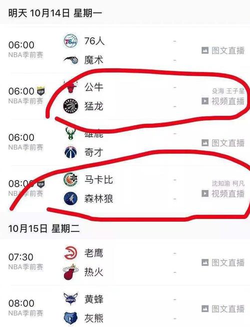 年对篮球的